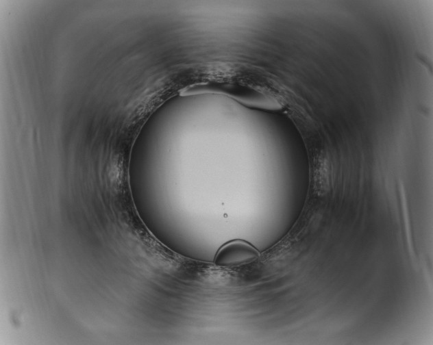 X0000102470608200808081252