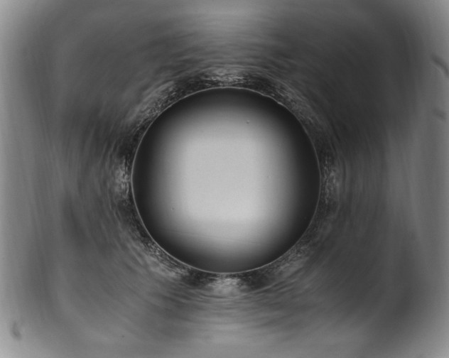 X0000102470609200808081252