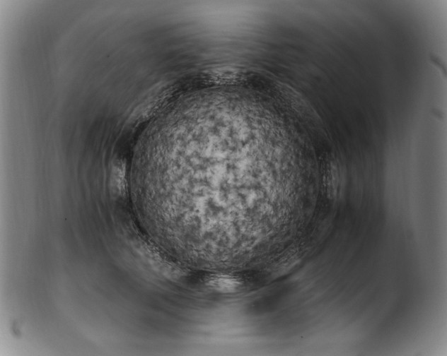 X0000102470610200808081252