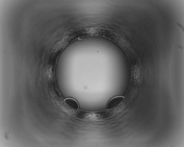 X0000102470611200808081252