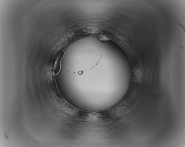 X0000102470612200808081252