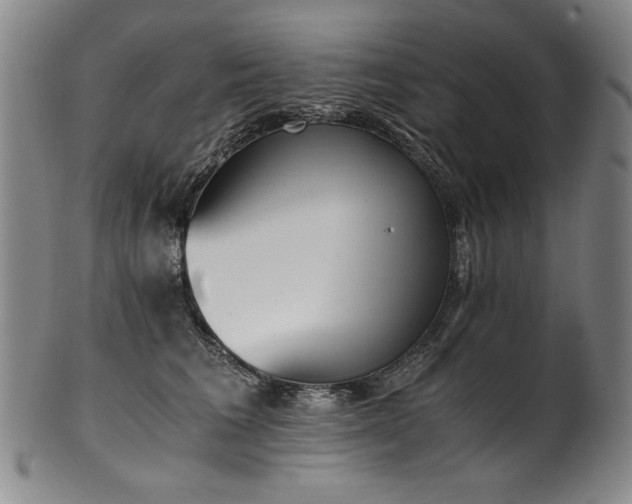 X0000102470613200808081252