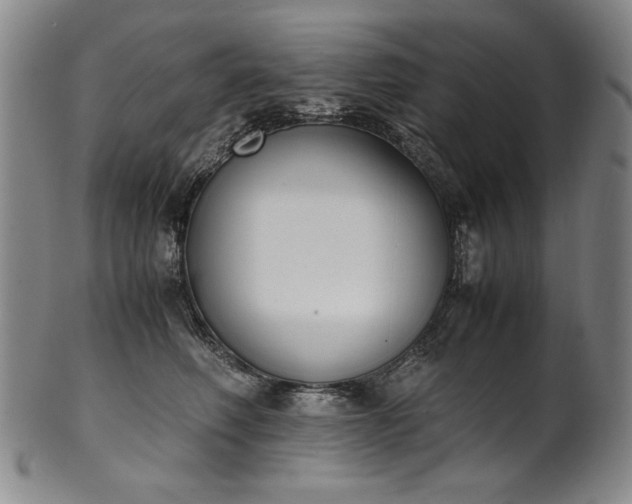 X0000102470614200808081252