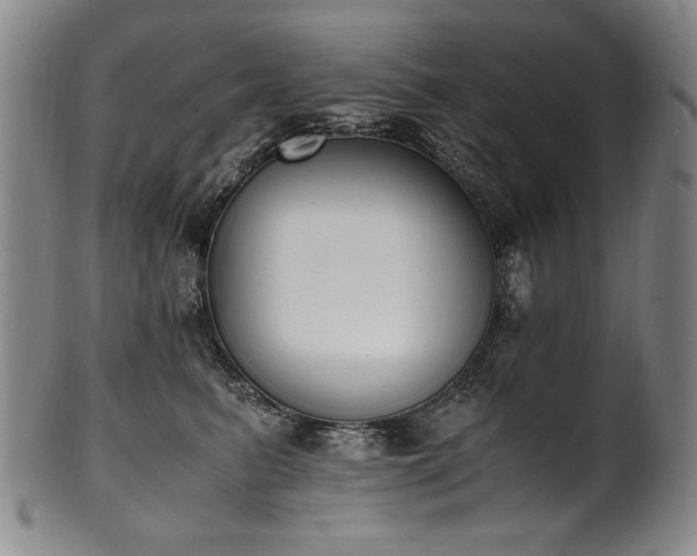 X0000102470615200808081252