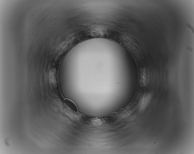 X0000102470616200808081252