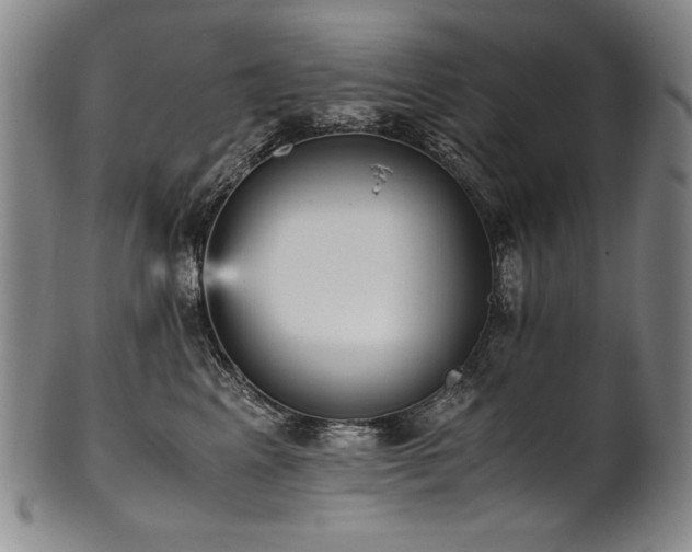X0000102470617200808081252