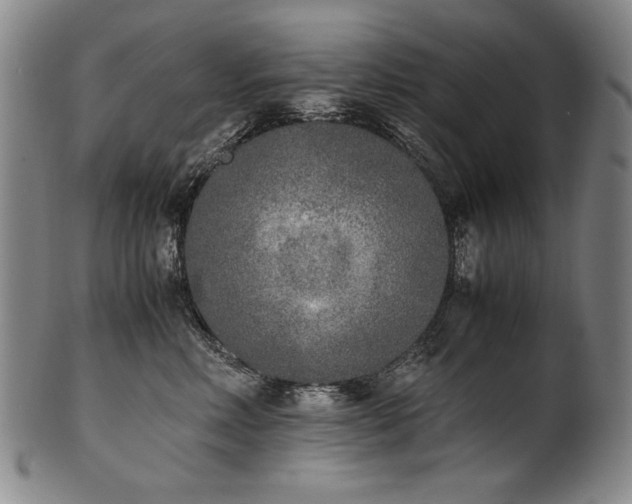 X0000102470618200808081252