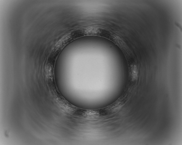 X0000102470619200808081252