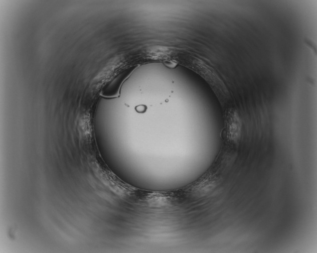 X0000102470620200808081252