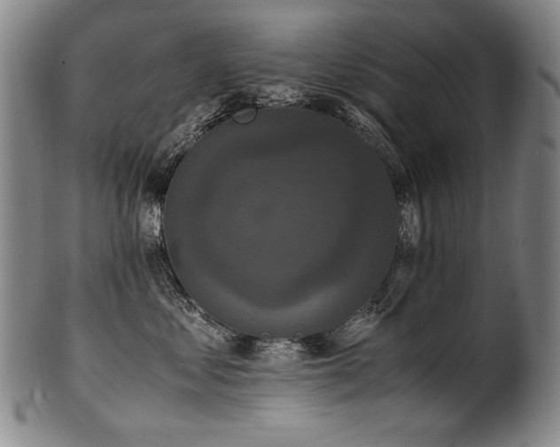 X0000102470621200808081252