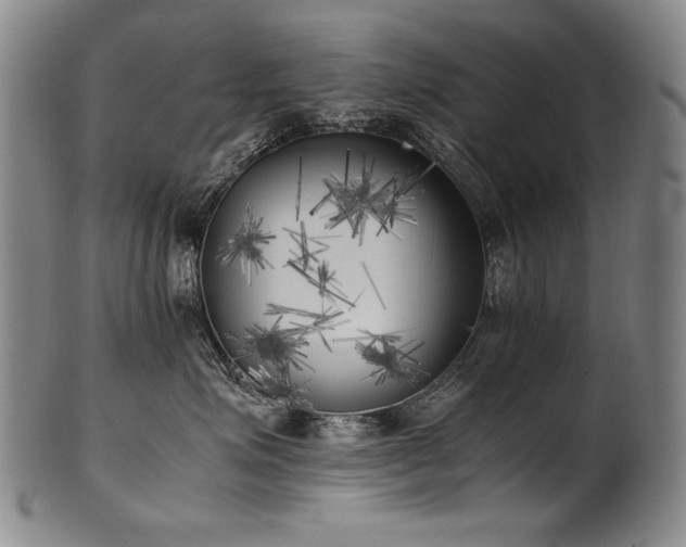 X0000102470623200808081252