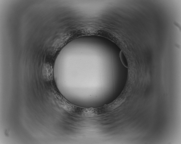 X0000102470624200808081252