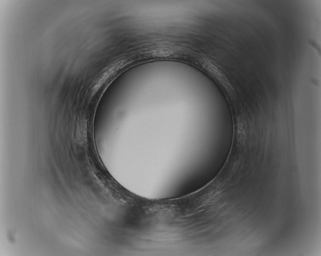 X0000102470626200808081251