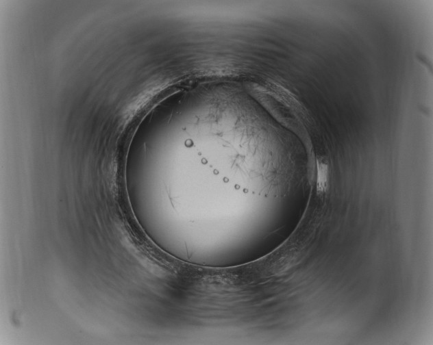 X0000102470627200808081251