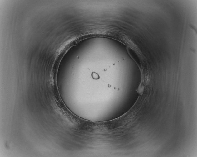 X0000102470628200808081251