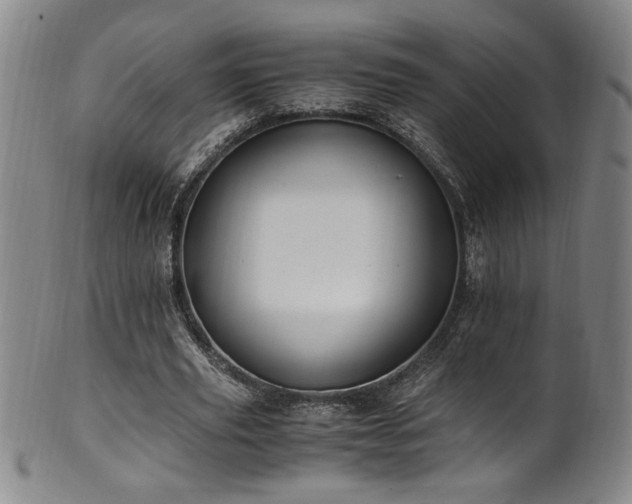 X0000102470629200808081251