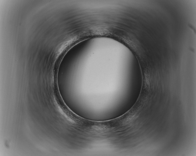 X0000102470630200808081251
