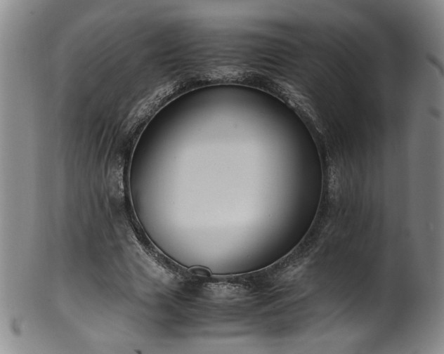 X0000102470633200808081251