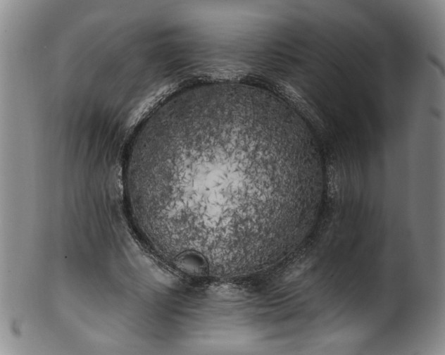 X0000102470634200808081251