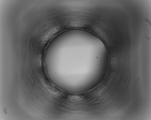 X0000102470635200808081251