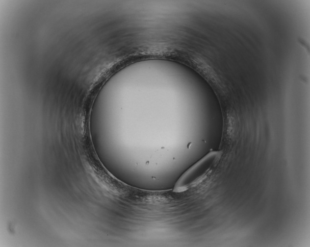 X0000102470636200808081251