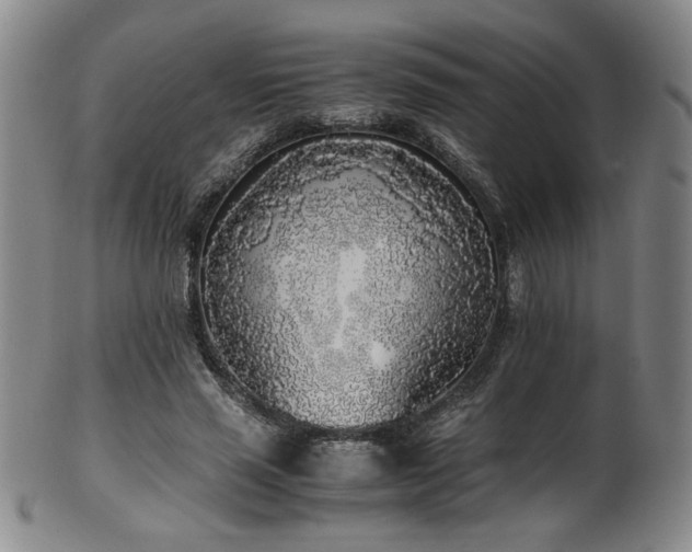 X0000102470637200808081251