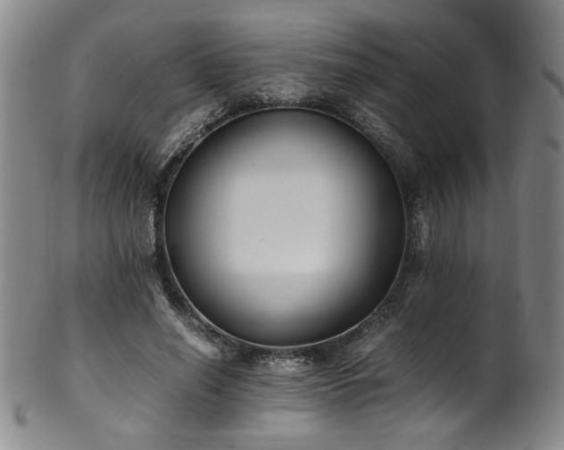 X0000102470638200808081251