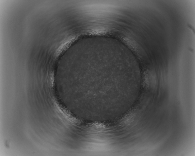 X0000102470640200808081251