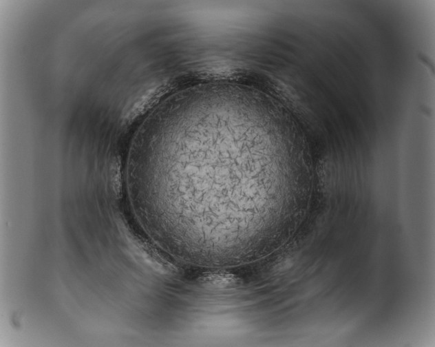 X0000102470642200808081251