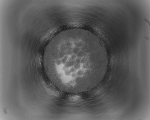 X0000102470643200808081251