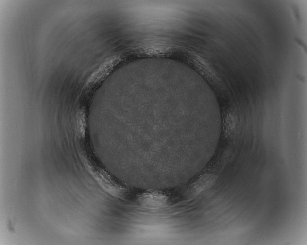 X0000102470644200808081251