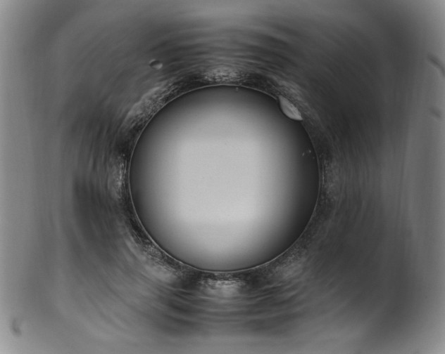 X0000102470645200808081251
