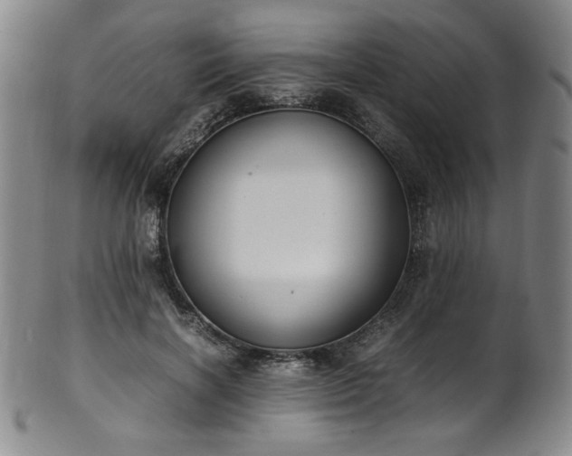 X0000102470646200808081251