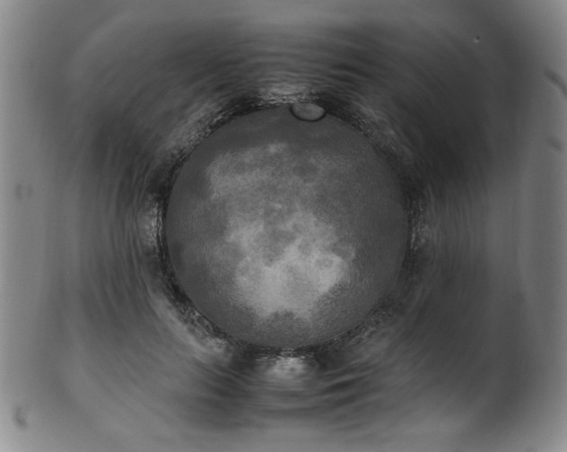 X0000102470647200808081251