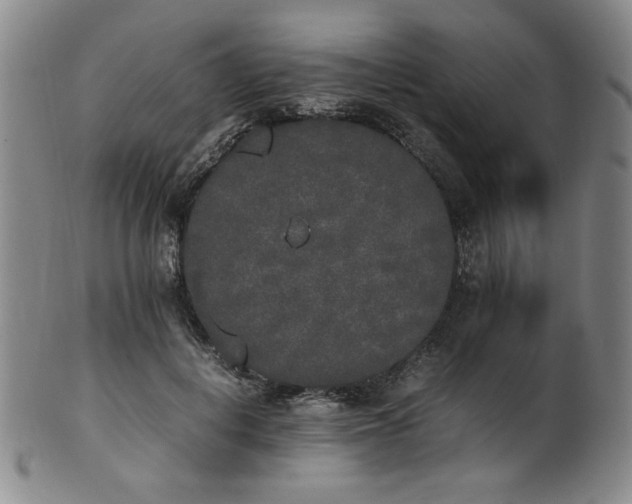 X0000102470648200808081251