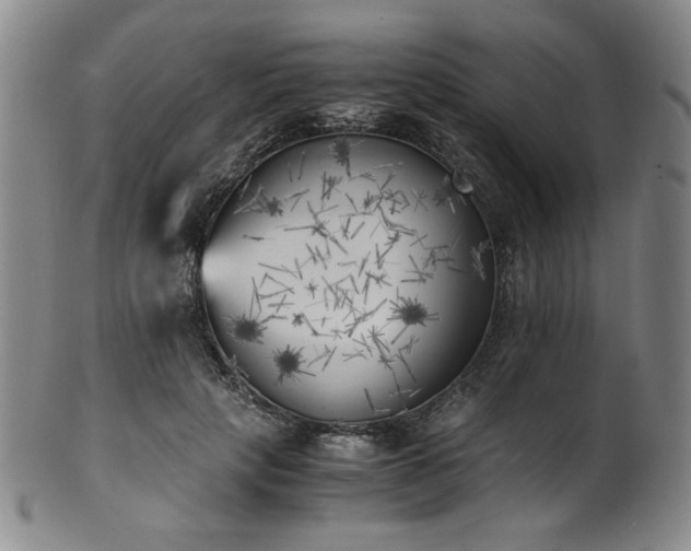 X0000102470649200808081251