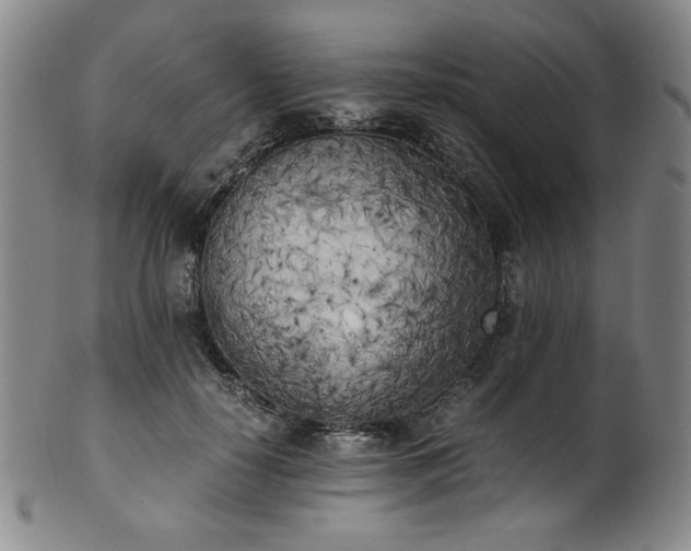 X0000102470650200808081251