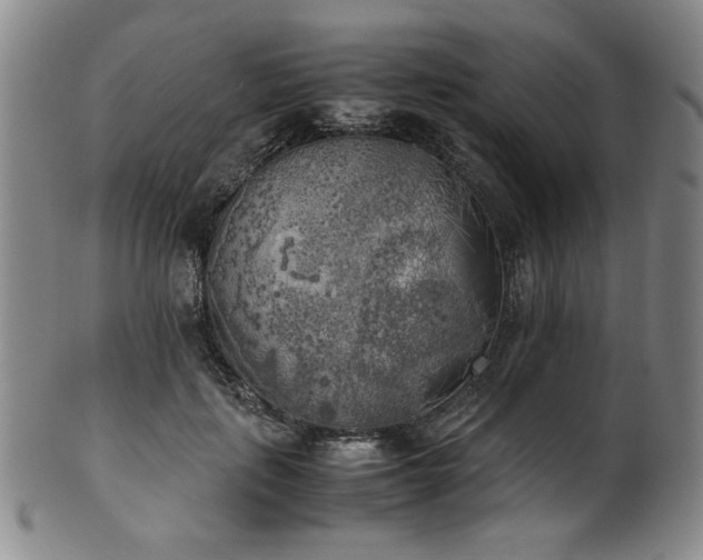 X0000102470651200808081251