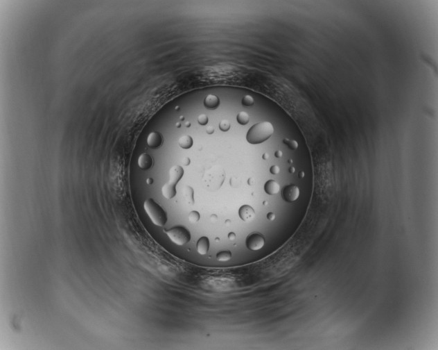 X0000102470653200808081251