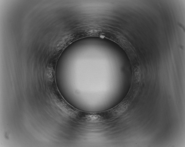 X0000102470654200808081251