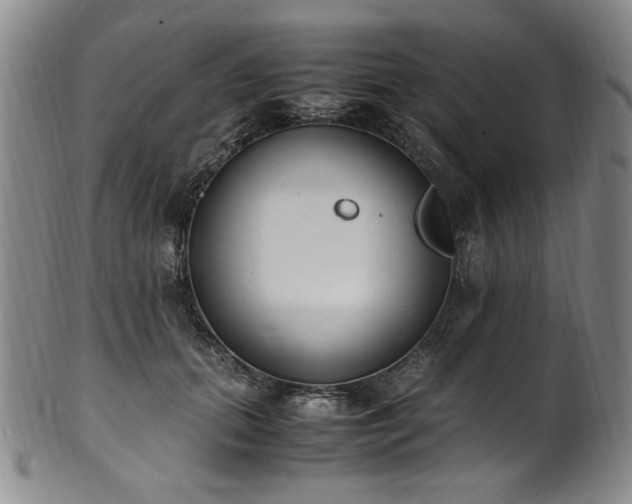 X0000102470655200808081251