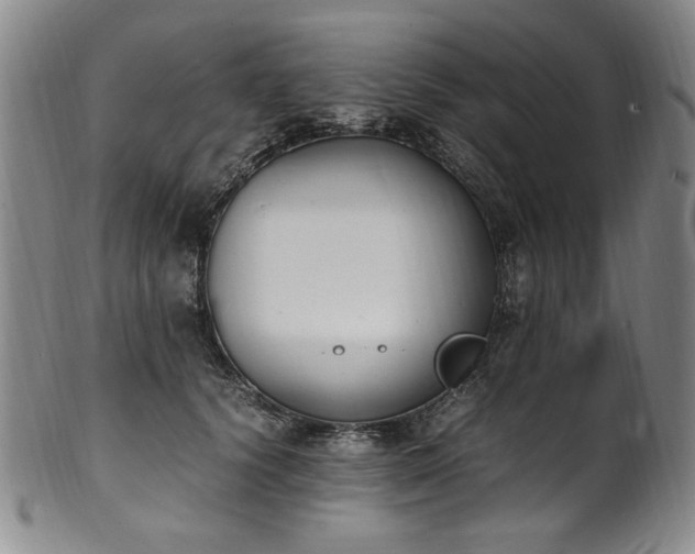 X0000102470656200808081251