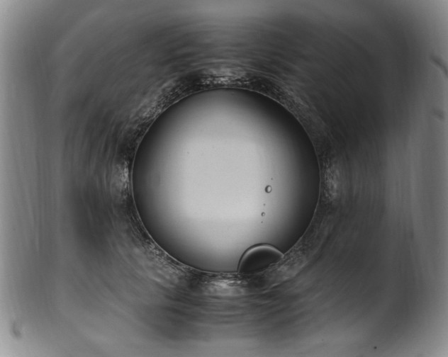 X0000102470657200808081251