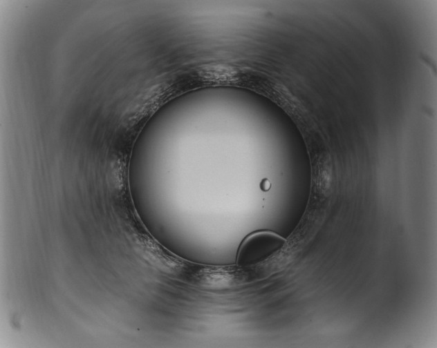 X0000102470658200808081251