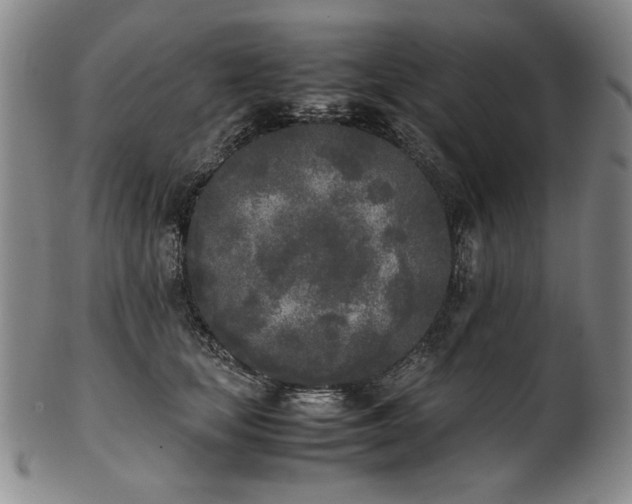 X0000102470659200808081251