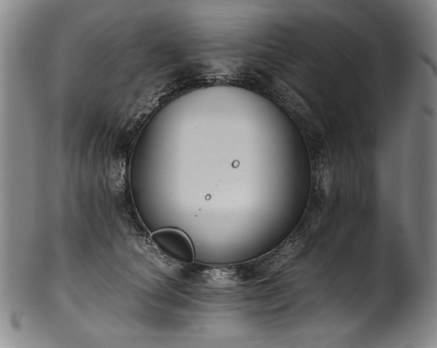 X0000102470660200808081251