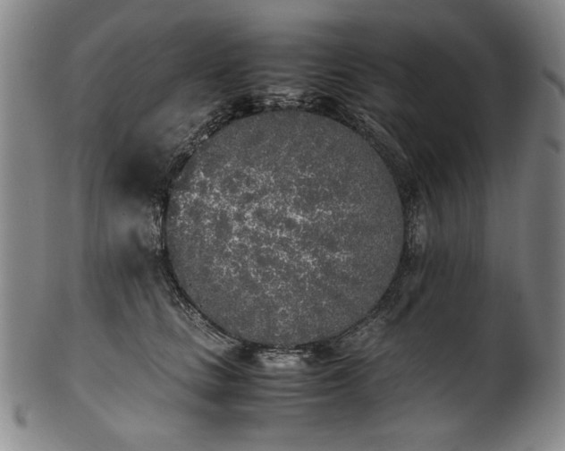 X0000102470661200808081251