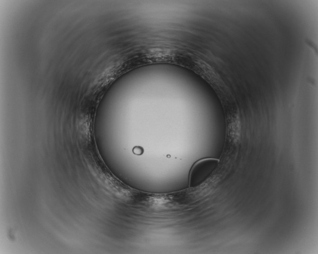 X0000102470662200808081251