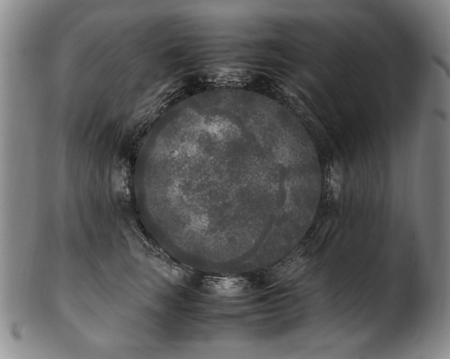 X0000102470663200808081251