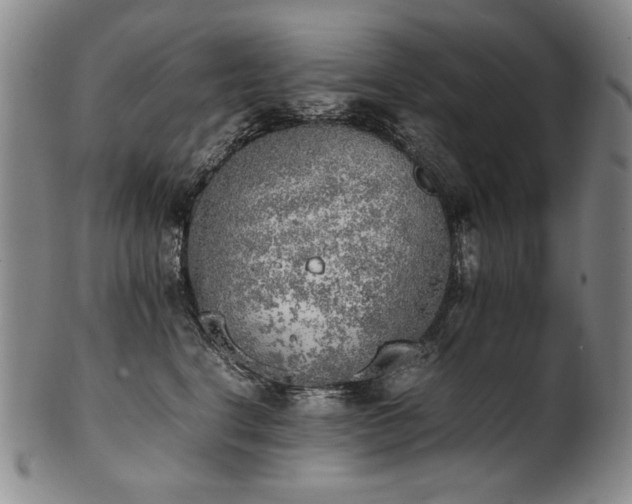 X0000102470664200808081251